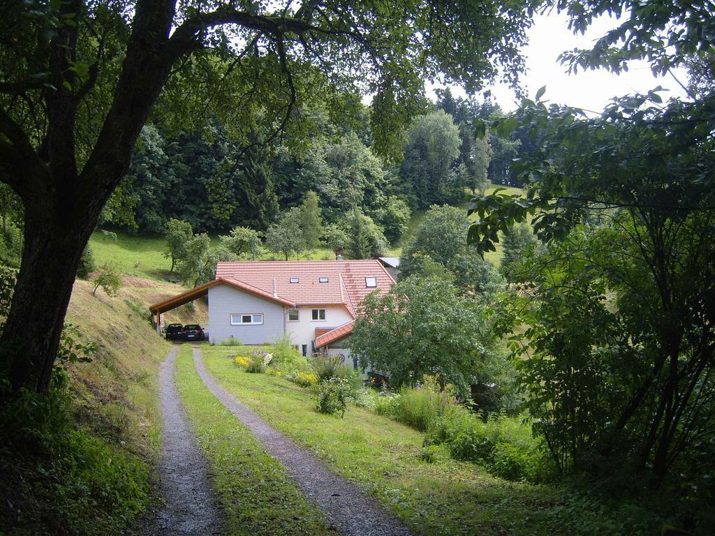 Apartament Langenberghof Oberharmersbach Zewnętrze zdjęcie