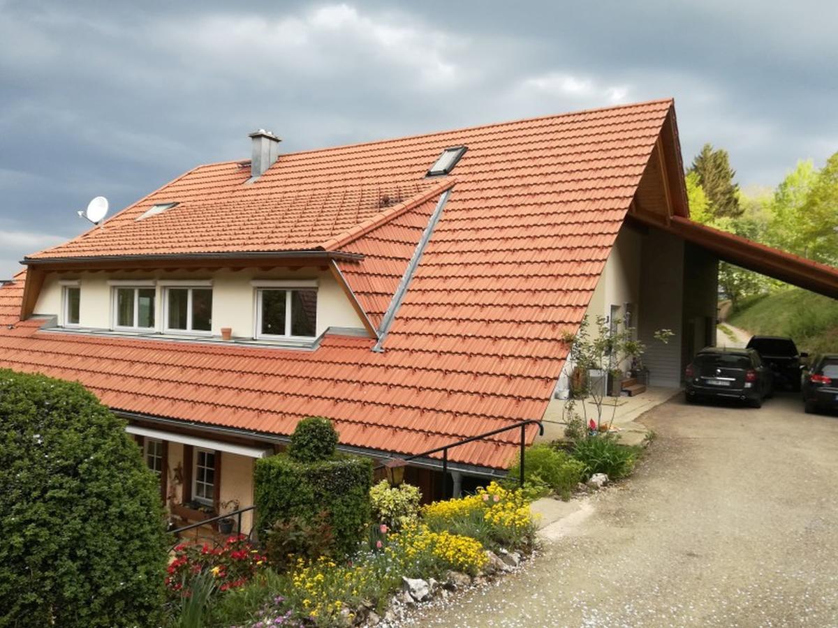 Apartament Langenberghof Oberharmersbach Zewnętrze zdjęcie